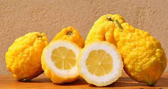 فواید بالنگ و فواید دارویی و درمانی بالنگ برای سلامتی بدن فواید بالنگ ؛ فواید دارویی و درمانی بالنگ برای سلامتی بدن