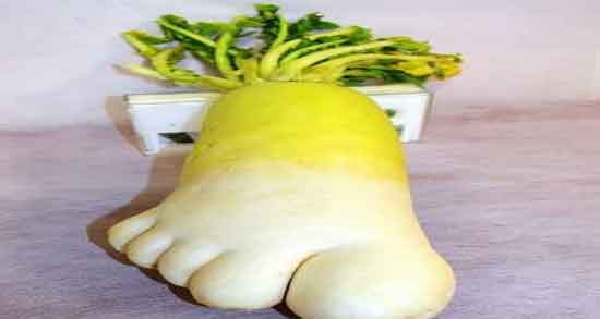 فواید ترب سفید قلمی و خاصیت مصرف ترب سفید قلمی کنار وعده غذا فواید ترب سفید قلمی ؛ خاصیت مصرف ترب سفید قلمی کنار وعده غذا