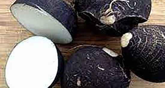 فواید ترب سیاه با عسل ؛ مخلوط ترب سیاه با عسل برای گلو درد فواید ترب سیاه با عسل ؛ مخلوط ترب سیاه با عسل برای گلو درد