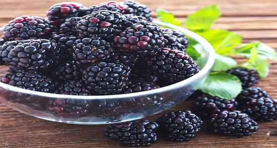 فواید تمشک برای دیابت و کنترل میزان قند خون افراد دیابتی با مصرف تمشک فواید تمشک برای دیابت ؛ کنترل میزان قند خون افراد دیابتی با مصرف تمشک