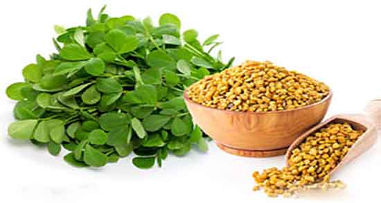 فواید دانه شنبلیله و خواص دانه شنبلیله برای چاقی صورت و بدن فواید دانه شنبلیله ؛ خواص دانه شنبلیله برای چاقی صورت و بدن