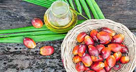 فواید روغن هسته خرما برای مو ؛ خاصیت روغن هسته خرما برای تقویت مو فواید روغن هسته خرما برای مو ؛ خاصیت روغن هسته خرما برای تقویت مو