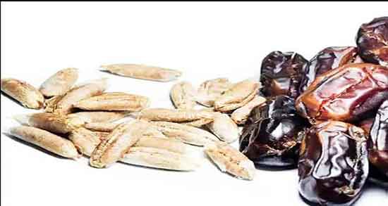 فواید روغن هسته خرما و فواید روغن هسته خرما برای زیبایی پوست فواید روغن هسته خرما ؛ فواید روغن هسته خرما برای زیبایی پوست