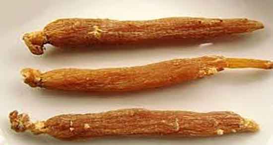 فواید شقاقل وحشی و مصرف شقاقل وحشی برای درمان کم خونی فواید شقاقل وحشی ؛ مصرف شقاقل وحشی برای درمان کم خونی