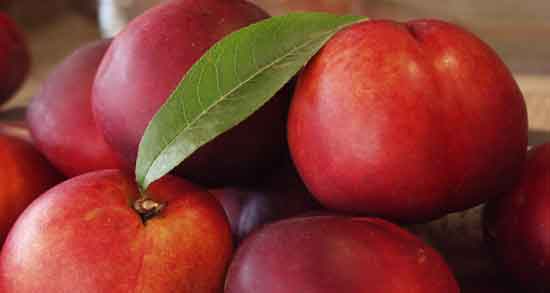 فواید شلیل و آشنایی با خواص و فواید میوه شلیل فواید شلیل ؛ آشنایی با خواص و فواید میوه شلیل