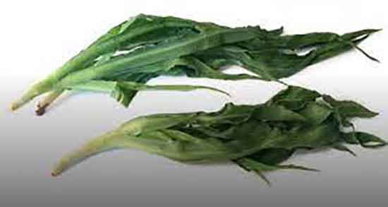 فواید شنگ و خاصیت مصرف دمنوش شنگ + خواص شنگ برای کبد فواید شنگ ؛ خاصیت مصرف دمنوش شنگ + خواص شنگ برای کبد