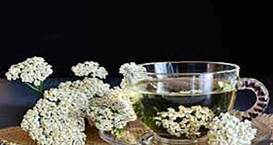 فواید عرق بومادران و رازیانه ؛ خواص عرق بومادران و رازیانه برای تخمدان فواید عرق بومادران و رازیانه ؛ خواص عرق بومادران و رازیانه برای تخمدان