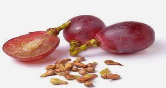 فواید هسته انگور ؛ خواص مصرف هسته انگور برای انواع سرطان فواید هسته انگور ؛ خواص مصرف هسته انگور برای انواع سرطان