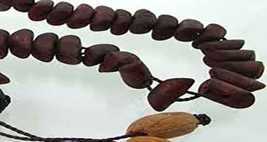 فواید هسته خرما در طب اسلامی ؛ خواص هسته خرما در طب اسلامی فواید هسته خرما در طب اسلامی ؛ خواص هسته خرما در طب اسلامی