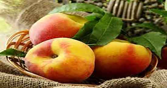 فواید هلو زعفرانی و خاصیت درمانی هلو زعفرانی برای سرماخوردگی فواید هلو زعفرانی ؛ خاصیت درمانی هلو زعفرانی برای سرماخوردگی