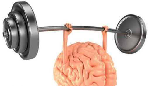 فواید هلیله سیاه تومور مغزی و خواص هلیله سیاه برای تومور مغزی فواید هلیله سیاه تومور مغزی ؛ خواص هلیله سیاه برای تومور مغزی