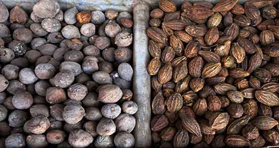 فواید هلیله سیاه و خاصیت ماسک هلیله سیاه برای پوست صورت فواید هلیله سیاه ؛ خاصیت ماسک هلیله سیاه برای پوست صورت