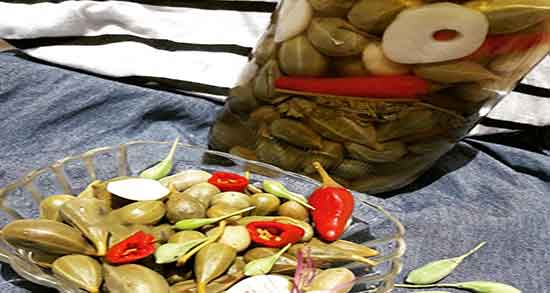 فواید هندوانه ابوجهل در طب سنتی ؛ خوردن هندوانه ابوجهل از نظر سنت فواید هندوانه ابوجهل در طب سنتی ؛ خوردن هندوانه ابوجهل از نظر سنت