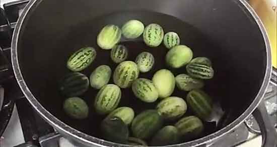 فواید هندوانه ابوجهل و خواص هندوانه ابوجهل در طب اسلامی چیست فواید هندوانه ابوجهل ؛ خواص هندوانه ابوجهل در طب اسلامی چیست