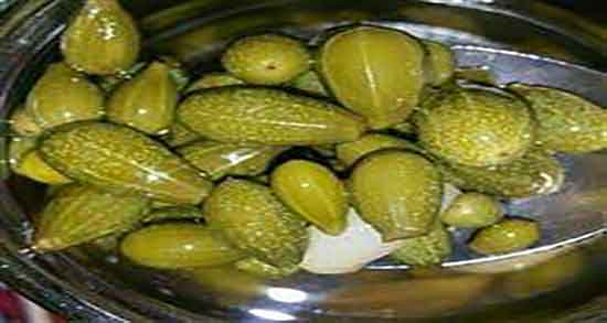 فواید هندوانه ابوجهل چیست ؛ خاصیت هندوانه ابوجهل برای زخم معده فواید هندوانه ابوجهل چیست ؛ خاصیت هندوانه ابوجهل برای زخم معده