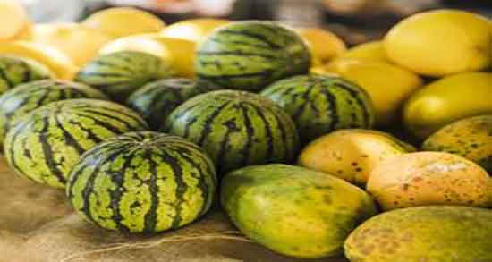 فواید هندوانه زرد در بارداری ؛ نحوه مصرف هندوانه زرد در دوران بارداری فواید هندوانه زرد در بارداری ؛ نحوه مصرف هندوانه زرد در دوران بارداری