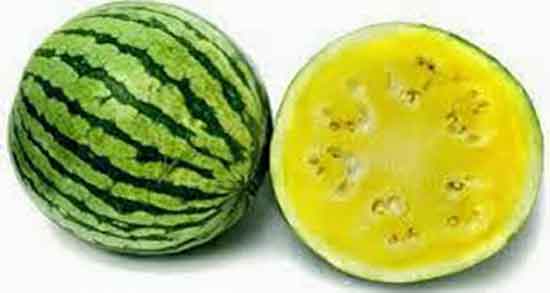 فواید هندوانه زرد چیست ؛ خواص درمانی هندوانه زرد رنگ چیست فواید هندوانه زرد چیست ؛ خواص درمانی هندوانه زرد رنگ چیست