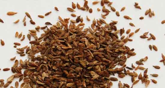 فواید هویج برای کودکان و خواص مصرف مربای هویج برای کودکان فواید هویج برای کودکان ؛ خواص مصرف مربای هویج برای کودکان