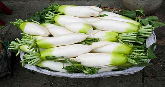 فواید و مضرات ترب سفید و خاصیت و عوارض ترب سفید برای سنگ کلیه فواید و مضرات ترب سفید ؛ خاصیت و عوارض ترب سفید برای سنگ کلیه