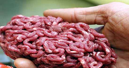 فواید و مضرات گوشت اسب و خواص و عوارض مصرف گوشت اسب فواید و مضرات گوشت اسب ؛ خواص و عوارض مصرف گوشت اسب