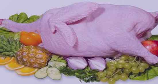 فواید و مضرات گوشت بوقلمون و فواید و عوارض گوشت بوقلمون در بارداری فواید و مضرات گوشت بوقلمون ؛ فواید و عوارض گوشت بوقلمون در بارداری