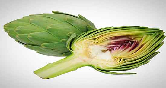 فواید کنگر فرنگی ؛ خواص مصرف کنگر فرنگی از نظر طب سنتی فواید کنگر فرنگی ؛ خواص مصرف کنگر فرنگی از نظر طب سنتی