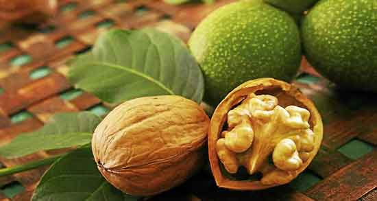 فواید گردو برای مغز و جلوگیری از تخریب بافت های مغزی با خوردن گردو فواید گردو برای مغز ؛ جلوگیری از تخریب بافت های مغزی با خوردن گردو