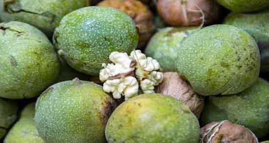 فواید گردو برای پوست و گردو به عنوان مرطوب کننده طبیعی پوست فواید گردو برای پوست ؛ گردو به عنوان مرطوب کننده طبیعی پوست