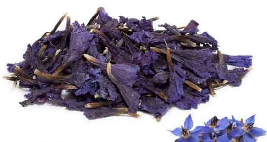 فواید گل گاوزبان برای معده و خوردن گل گاوزبان چه فوایدی برای معده دارد فواید گل گاوزبان برای معده ؛ خوردن گل گاوزبان چه فوایدی برای معده دارد