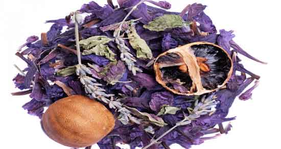 فواید گل گاوزبان در بارداری و آشنایی با خاصیت خوردن گل گاوزبان برای زن باردار فواید گل گاوزبان در بارداری ؛ آشنایی با خاصیت خوردن گل گاوزبان برای زن باردار