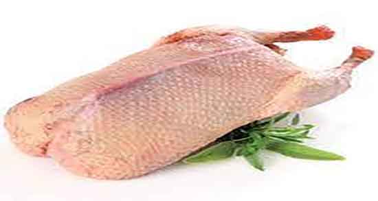 فواید گوشت اردک و خواص گوشت اردک پخته برای کودکان چیست فواید گوشت اردک ؛ خواص گوشت اردک پخته برای کودکان چیست