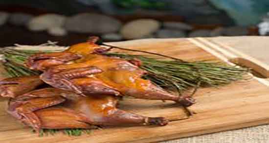 فواید گوشت بلدرچین در بارداری و خواص گوشت بلدرچین در دوران بارداری فواید گوشت بلدرچین در بارداری ؛ خواص گوشت بلدرچین در دوران بارداری