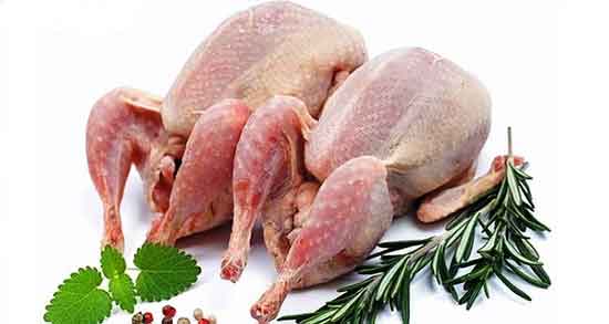 فواید گوشت بلدرچین در طب سنتی و خواص گوشت بلدرچین در طب سنتی فواید گوشت بلدرچین در طب سنتی ؛ خواص گوشت بلدرچین در طب سنتی