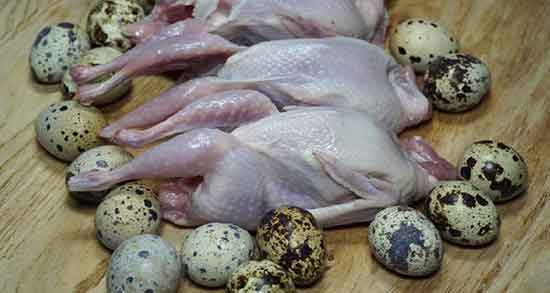 فواید گوشت بلدرچین و خاصیت مصرف گوشت بلدرچین در دوران بارداری فواید گوشت بلدرچین ؛ خاصیت مصرف گوشت بلدرچین در دوران بارداری