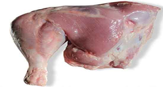 فواید گوشت بوقلمون برای بدنسازی ؛ خواص گوشت بوقلمون در ورزش فواید گوشت بوقلمون برای بدنسازی ؛ خواص گوشت بوقلمون در ورزش