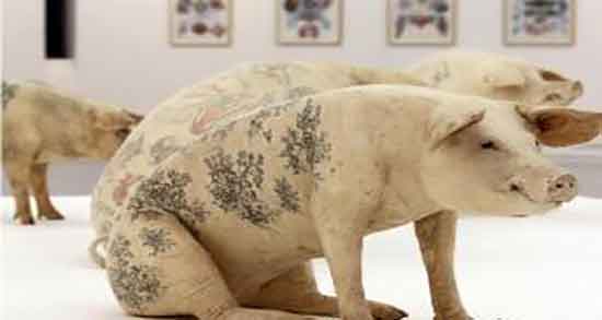 فواید گوشت خوک و خوردن کباب گوشت خوک وحشی در اسلام فواید گوشت خوک ؛ خوردن کباب گوشت خوک وحشی در اسلام