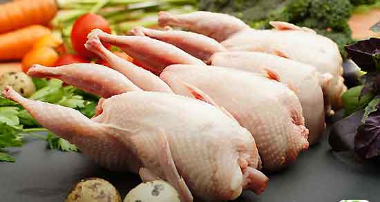 فواید گوشت کبک برای کودکان و تقویت بدن کودک با مصرف گوشت کبک فواید گوشت کبک برای کودکان ؛ تقویت بدن کودک با مصرف گوشت کبک