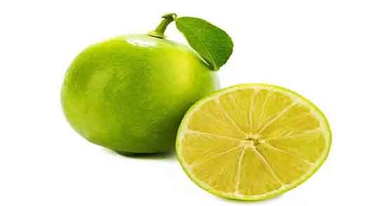 لیمو شیرین برای سگ و آیا سگ ها می توانند لیمو شیرین بخورند؟ لیمو شیرین برای سگ ؛ آیا سگ ها می توانند لیمو شیرین بخورند؟