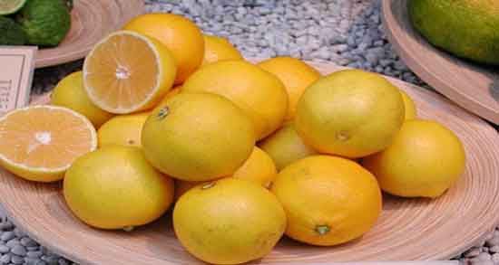 لیمو شیرین برای چی خوبه و برای درمان کدام بیماری خوردن لیمو شیرین مفید است لیمو شیرین برای چی خوبه ؛ برای درمان کدام بیماری خوردن لیمو شیرین مفید است