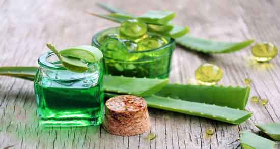 ماسک آلوورا برای مو و روش درست کردن ماسک آلوورا برای تقویت مو ماسک آلوورا برای مو ؛ روش درست کردن ماسک آلوورا برای تقویت مو