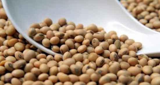 مضرات آجیل سویا ؛ بررسی عوارض و مضرات خوردن آجیل سویا مضرات آجیل سویا ؛ بررسی عوارض و مضرات خوردن آجیل سویا