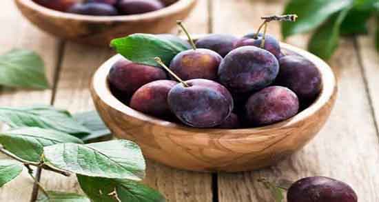 مضرات آلو سیاه ؛ همه چیز درباره مضرات و عوارض خوردن آلو سیاه مضرات آلو سیاه ؛ همه چیز درباره مضرات و عوارض خوردن آلو سیاه