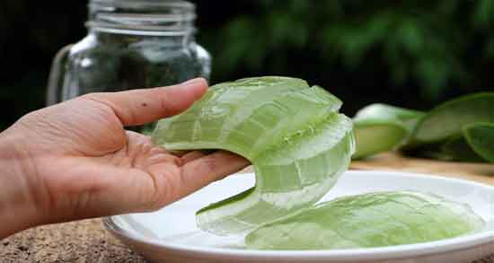 مضرات آلوورا و بررسی عوارض و مضرات مصرف آلوورا مضرات آلوورا ؛ بررسی عوارض و مضرات مصرف آلوورا