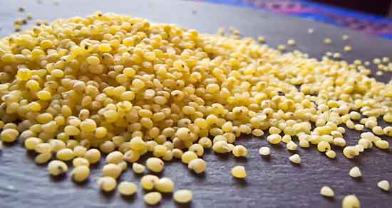 مضرات ارزن برای قناری و استفاده از ارزن چه ضرری برای سلامت قناری دارد؟ مضرات ارزن برای قناری ؛ استفاده از ارزن چه ضرری برای سلامت قناری دارد؟