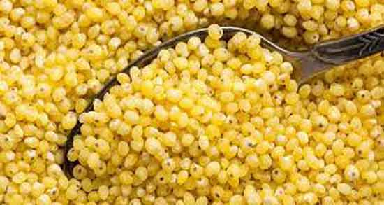 مضرات ارزن برای کبوتر و همه چیز درباره عوارض و مضرات ارزن برای سلامت کبوتر مضرات ارزن برای کبوتر ؛ همه چیز درباره عوارض و مضرات ارزن برای سلامت کبوتر