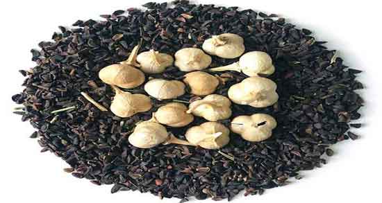 مضرات اسپند و همه چیز درباره عوارض و مضرات اسپند برای سلامتی مضرات اسپند ؛ همه چیز درباره عوارض و مضرات اسپند برای سلامتی