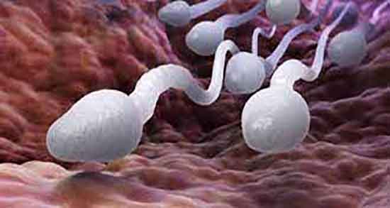 مضرات اسید فولیک برای مردان ؛ عوارض اسید فولیک برای تقویت اسپرم مضرات اسید فولیک برای مردان ؛ عوارض اسید فولیک برای تقویت اسپرم