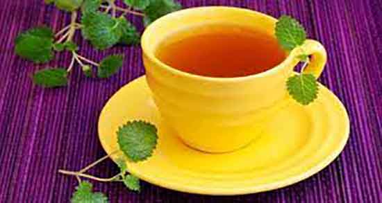 مضرات بادرنجبویه و عوارض مصرف عرق بادرنجبویه در دوران بارداری مضرات بادرنجبویه ؛ عوارض مصرف عرق بادرنجبویه در دوران بارداری