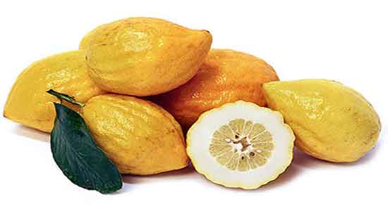 مضرات بالنگ و همه چیز درباره عوارض و مضرات خوردن بالنگ مضرات بالنگ ؛ همه چیز درباره عوارض و مضرات خوردن بالنگ