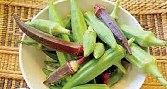 مضرات بامیه چیست و عوارض مصرف بامیه و طبع سرد ان برای بدن مضرات بامیه چیست ؛ عوارض مصرف بامیه و طبع سرد ان برای بدن